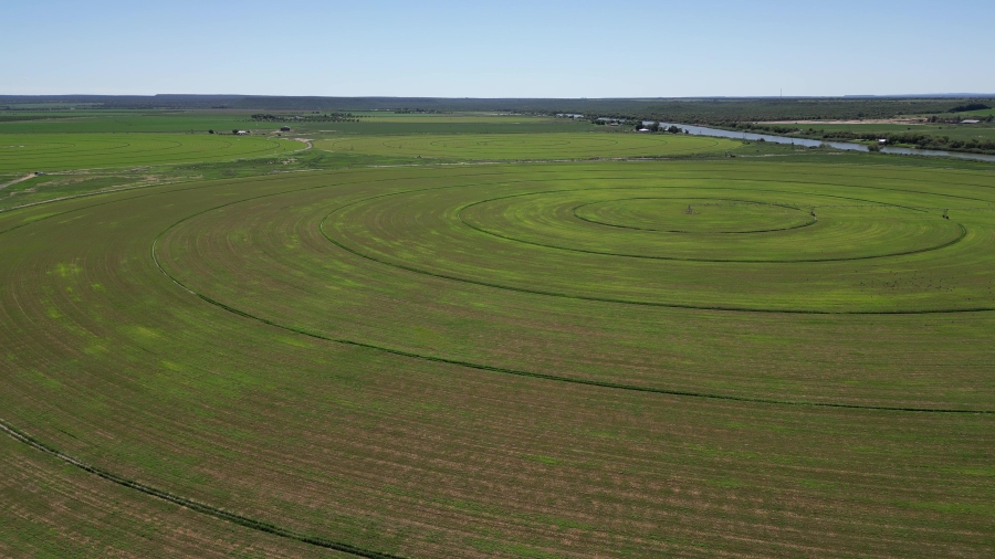 0 Bedroom Property for Sale in Douglas Rural Northern Cape